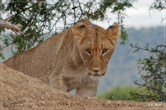 suedafrika_2019_0169