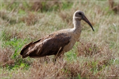 suedafrika_2019_0172