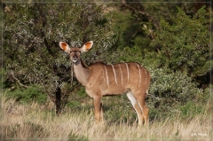 suedafrika_2019_0180