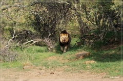 suedafrika_2019_0186