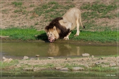 suedafrika_2019_0187