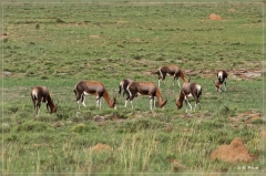 suedafrika_2019_0197