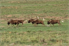 suedafrika_2019_0198