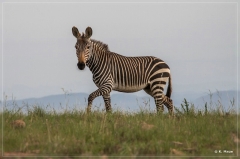 suedafrika_2019_0203