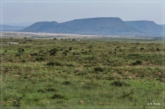 suedafrika_2019_0208