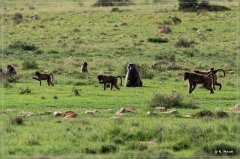 suedafrika_2019_0210