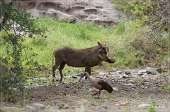 suedafrika_2019_0215