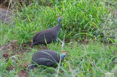 suedafrika_2019_0216