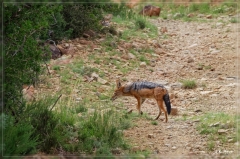 suedafrika_2019_0217