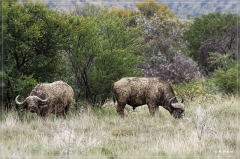 suedafrika_2019_0226