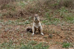 suedafrika_2019_0228