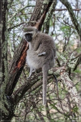 suedafrika_2019_0246