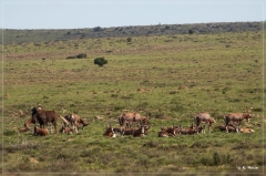 suedafrika_2019_0252