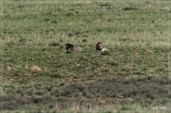 suedafrika_2019_0266