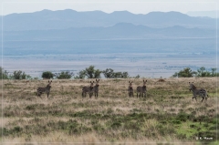 suedafrika_2019_0267