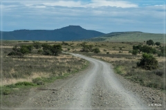 suedafrika_2019_0275