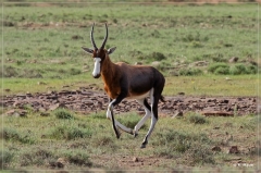 suedafrika_2019_0280