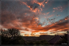 suedafrika_2019_0284