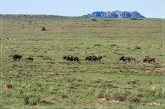 suedafrika_2019_0286