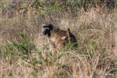 suedafrika_2019_0293