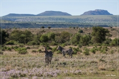 suedafrika_2019_0295