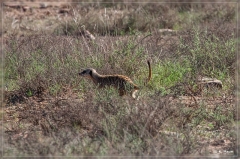 suedafrika_2019_0299