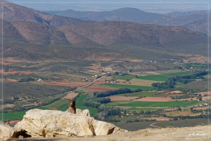 suedafrika_2019_0054.jpg