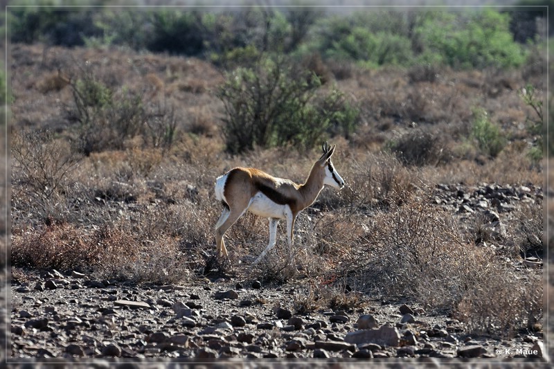 suedafrika_2019_0077.jpg