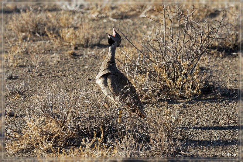 suedafrika_2019_0078.jpg