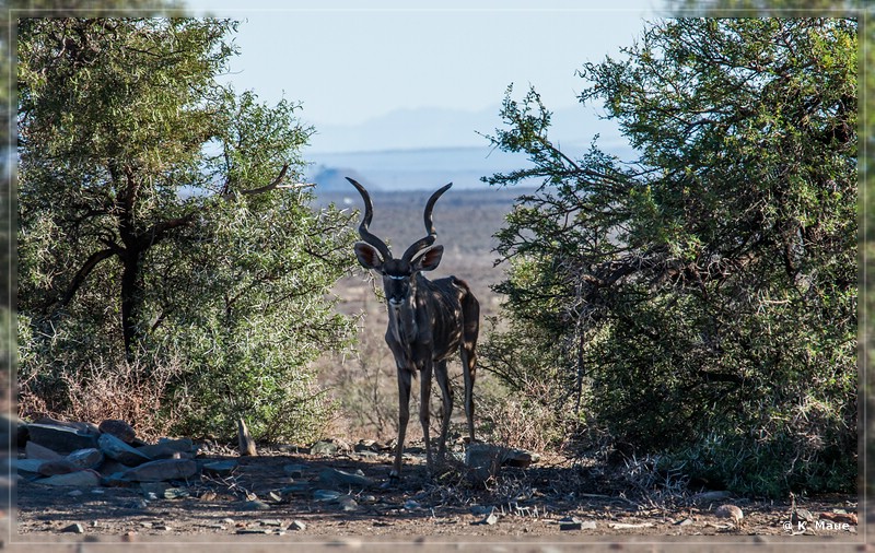 suedafrika_2019_0079.jpg