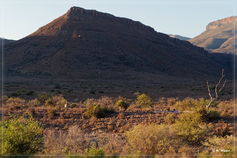 suedafrika_2019_0085.jpg