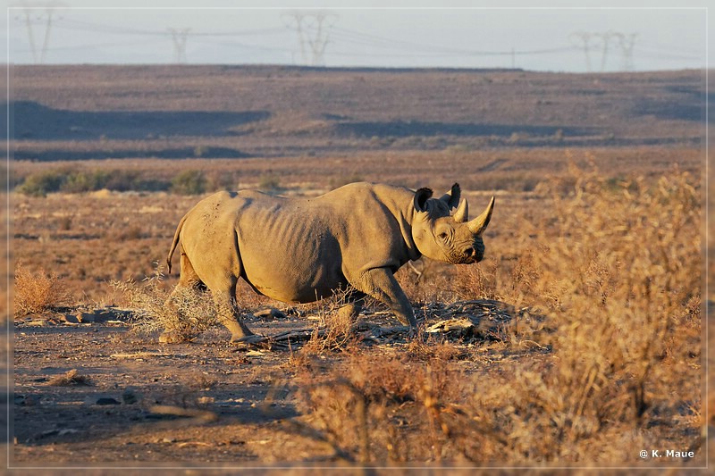 suedafrika_2019_0091.jpg