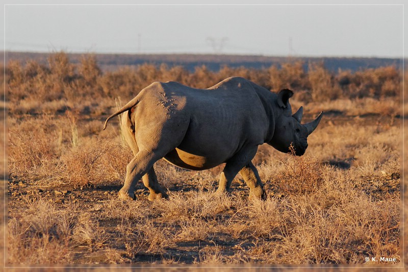 suedafrika_2019_0092.jpg