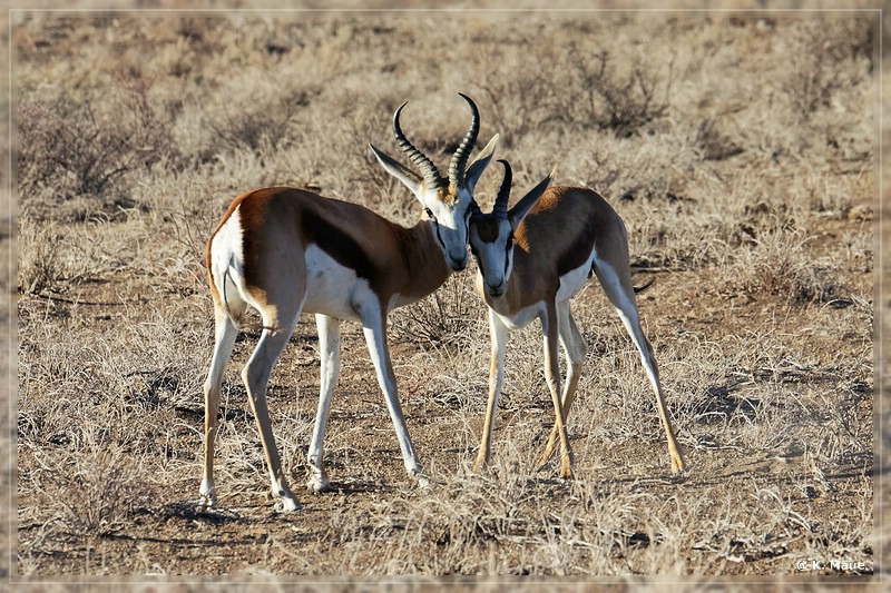 suedafrika_2019_0094.jpg