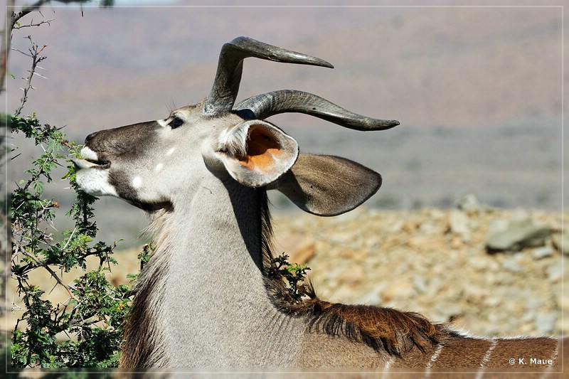 suedafrika_2019_0100.jpg