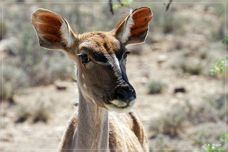 suedafrika_2019_0101.jpg