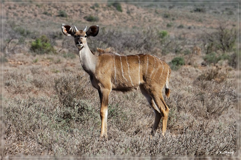 suedafrika_2019_0102.jpg