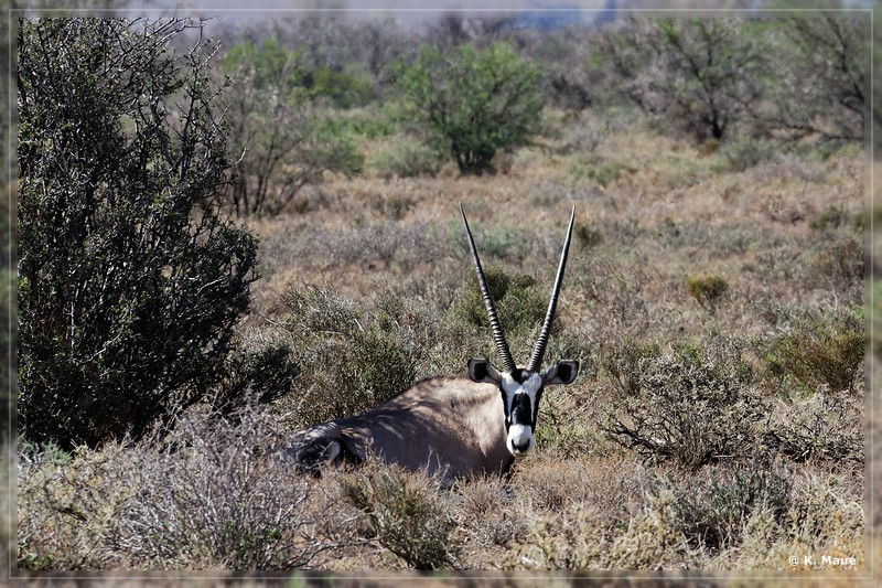 suedafrika_2019_0103.jpg