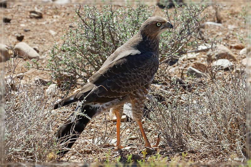 suedafrika_2019_0104.jpg