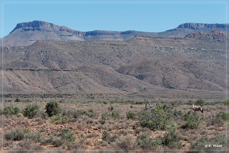 suedafrika_2019_0107.jpg