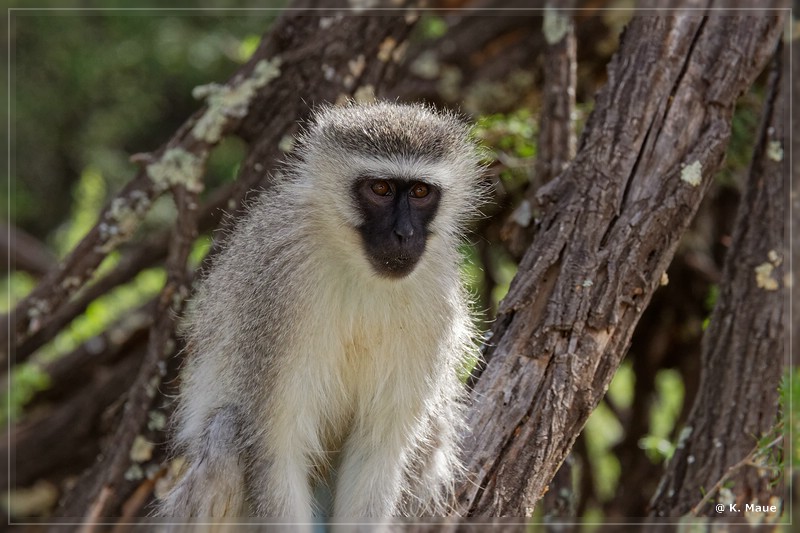 suedafrika_2019_0119.jpg