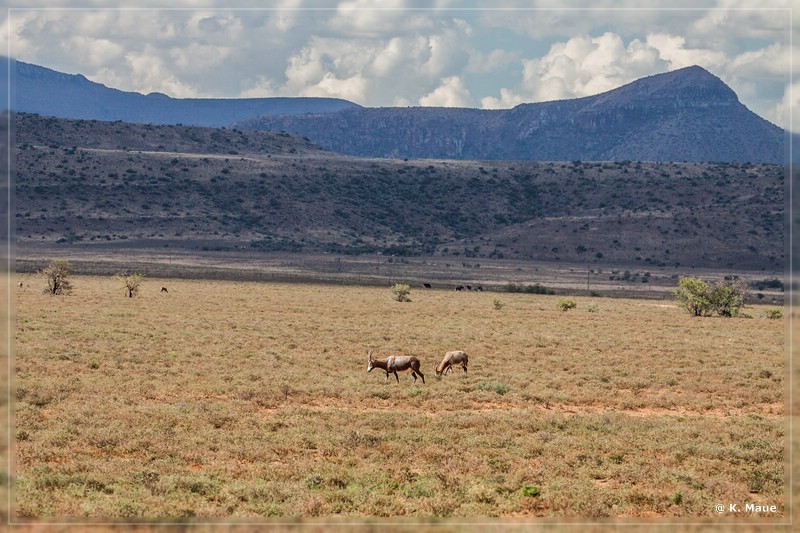 suedafrika_2019_0120.jpg