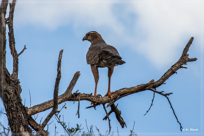 suedafrika_2019_0122.jpg