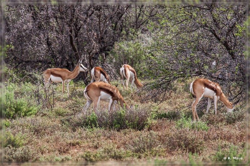 suedafrika_2019_0123.jpg