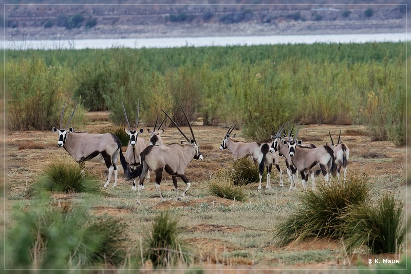 suedafrika_2019_0126.jpg