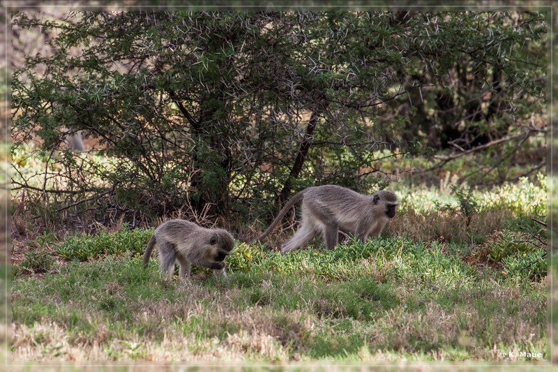 suedafrika_2019_0127.jpg