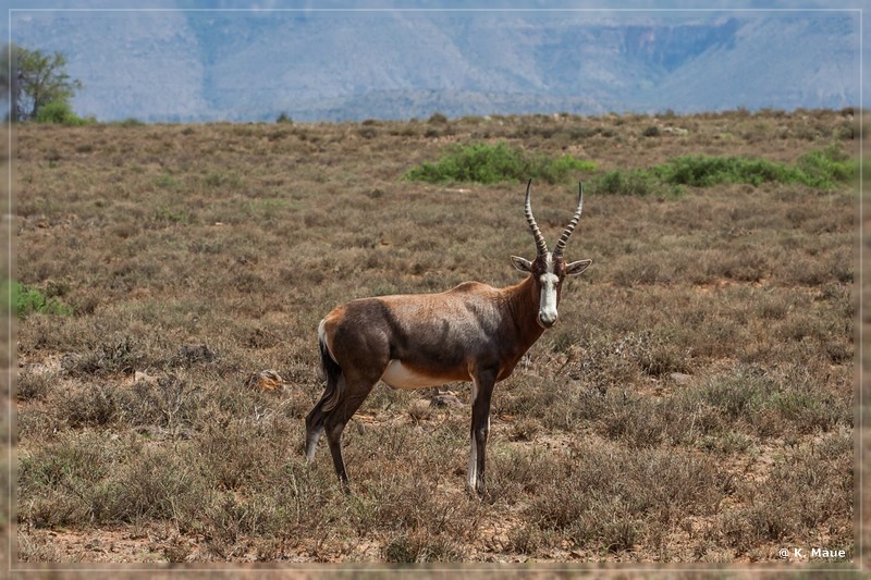 suedafrika_2019_0138.jpg