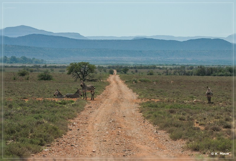 suedafrika_2019_0139.jpg