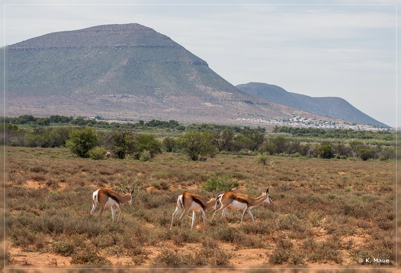 suedafrika_2019_0142.jpg