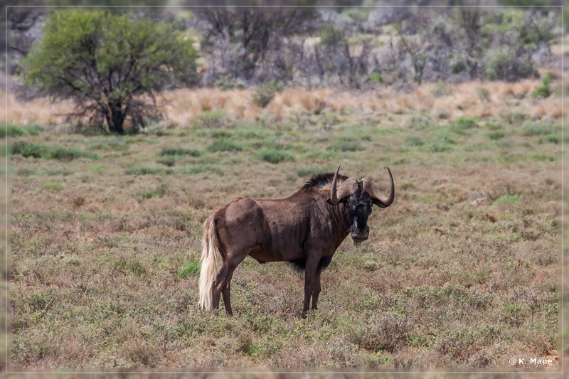 suedafrika_2019_0143.jpg